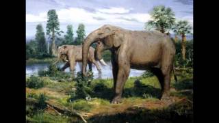 Top 10 Prehistoric Mammal Herbivores [upl. by Brit]