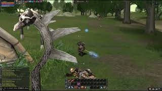 Lineage 2 interlude gameplay Quest Test of Champion Destroyer second transfer class [upl. by Antonella]