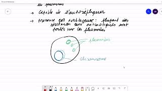 microbiologie génétique bactérienne bcg s4 [upl. by Letnuahc]