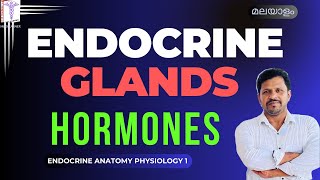 Endocrine System Physiology Malayalam Endocrine glands Hormones Introduction Malayalam [upl. by Nuzzi537]