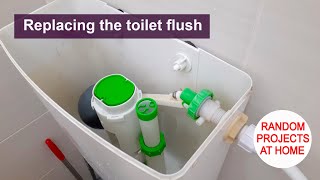 Project Replacing the toilet flush [upl. by Felton561]