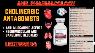 Cholinergic Antagonists  Parasympatholytics  Antimuscarinic Agents Neuromuscular blockers  L4 [upl. by Ahsinauj]