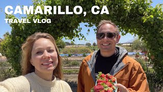 CAMARILLO CALIFORNIA  TOP THINGS to SEE and DO travelvlog [upl. by Warfeld]