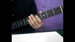 Evidencias  Ana Gabriel  Bass cover [upl. by Kliment]