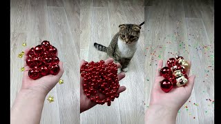 Cat Marbles Satisfying Reverse Video ASMR Funny Video [upl. by Aidole996]