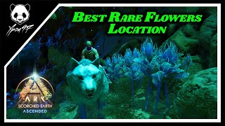 Best Location To Get Rare Flowers In Scorched Earth  ARK Survival Ascended [upl. by Anemolihp]