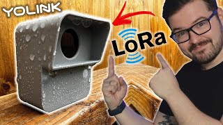 Outdoor LoRa Tech in Home Assistant YoLink Overview [upl. by Araas58]