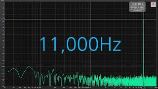 11000 Hz Tone test [upl. by Kerrie199]