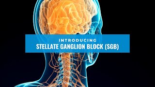 Stellate Ganglion Block SGB  Dr Shounuck Patel [upl. by Anilra]