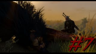 The Witcher 3 ─ 7 ─ Les Drames de Blanchefleur  FR  Info Livres [upl. by Adnicaj164]