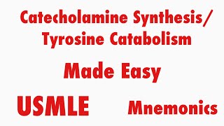 Catecholamine Synthesis Tyrosine Catabolism USMLE Mnemonics [upl. by Aba]