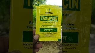 Streptomycin sulphate tetracycline hydrochloride 9010 tagmycin tropical agro antibiotic shorts [upl. by Rahel]