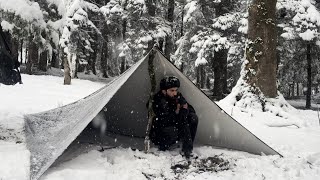 Winter Camping Survival Guide in a Snowstorm  Tips and Tricks [upl. by Hutchinson]