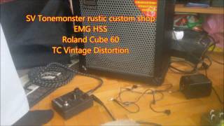 TC Electronic Vintage Distortion [upl. by Hanikas283]