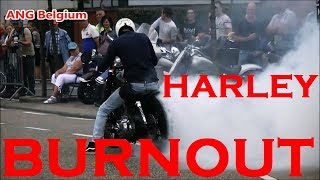 HARLEY DAVIDSON BURNOUT IN BELGIUM [upl. by Ventre590]