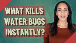 What kills water bugs instantly [upl. by Glaab515]