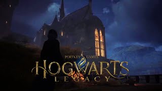 Hogwarts Legacy  Night Walk around the castle amp Hogwarts Kitchens [upl. by Esilenna847]