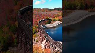 Fall colours surrounding Agawa Canyon Train Sault Ste Marie Canada 🍁🍂🚂 autumn [upl. by Nonnaihr]