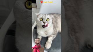 cat food ❤️cats cat funny shorts [upl. by Aevin]