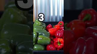 4 verduras 🥬🥦🫑 que puedes consumir siendo diabéticodiabetes recetas diabetic [upl. by Jakob]