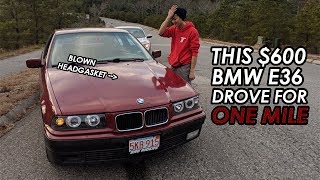 Stranded In A 600 BMW E36 With A Blown Head Gasket [upl. by Dnama]