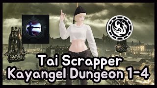 Lost Ark Tai Scrapper Kayangel Dungeon 14 with Comments [upl. by Llemmart530]