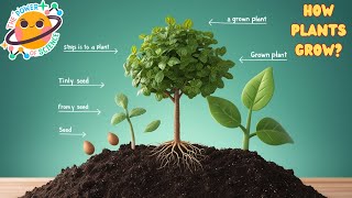 How Plants Grow  Photosynthesis  For Kids  kidslearning education  children  science [upl. by Faxon24]