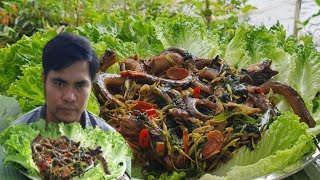 STIRFRIED THYME LEAVES KHMER MUKBANG EATING SHOW [upl. by Katleen]