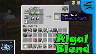 Create Above and Beyond  Algal Blend [upl. by Moretta134]