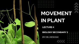 lecture 4 movement in plant  senior 3 [upl. by Khosrow435]