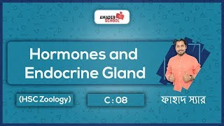 8 Endocrine Glands and Hormones  অন্তক্ষরা গ্রন্থি ও হরমোন  Fahad Sir [upl. by Alleinnad455]