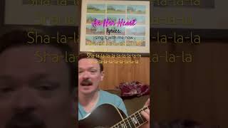 Shalala acoustic guitar acousticguitar dangelico song singalong postbossa love [upl. by Beatty]