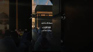 Quran Recitation Surah Kahaf❤️🥀translation quran shortsfeed shorts viralvideo ytshorts islam [upl. by Pernell1]