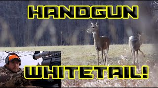 Whitetail Deer Hunting with a Handgun [upl. by Acinorej]