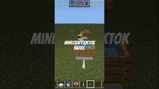 Minecraft TikTok hacks minecraft minectraftbuilding minecraftpe gaming mcpe [upl. by Jim]