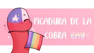 🌈Picadura de la cobra gay🌈Loop Countryhumans Chile New outro✨Read desc✨ [upl. by Anawik]