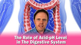 The Role of AcidpH Level in The Digestive System [upl. by Arleta]