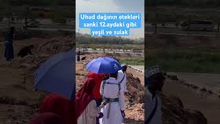 Medine’ye yağmur yağınca Uhudun eteklerindeki vadide hemen ırmak oluşur umre uhud medine [upl. by Nnateragram]