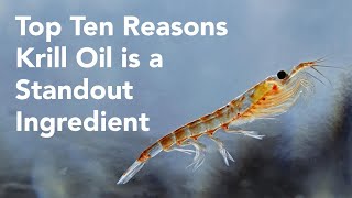 WEBINAR Top Ten Reasons Krill Oil is a Standout Supplement Ingredient [upl. by Nnayram]