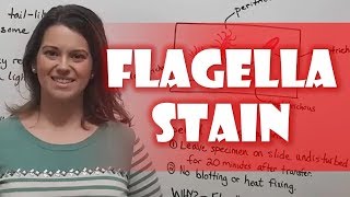 Flagella Stain [upl. by Brentt217]