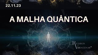 A MALHA QUÂNTICA fisicaquantica fisicaquanticaespiritual barrasdeaccessbrasil [upl. by Shelba]