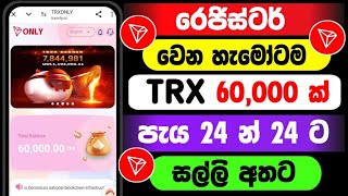 How to Earn Money Online Sinhala 2024  TRX Earning Site  Live Withdraw woowmoneytv [upl. by Luby]