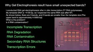 Why RNA Gel Electrophoresis result have small unexpected bands [upl. by Ydna]