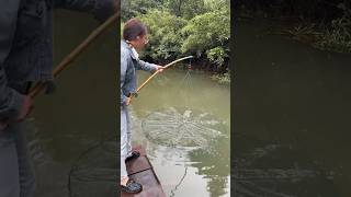 GreatMore Koi carp fishing by netWait for the resultnetfishing fishingwithmasud fishinglife [upl. by Sotsirhc]