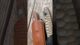 5 Incredible EDC Fixed Blades youtubeshorts shorts bushcraft [upl. by Nerwal]