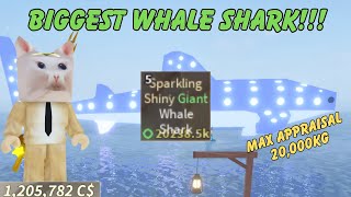 APPRAISING THE GIANT SHINY WHALE SHARK 🐳 Roblox Fisch [upl. by Demmahom658]