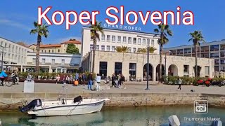 Koper SloveniaBeautiful City In Slovenia 🛥️ [upl. by Auoz]