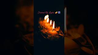 Festival of lights🎆🪔🎇 shorts shortsfeed ytshorts diwali [upl. by Rohn]