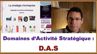 DAS Domaine dactivité stratégique  explication et exemples [upl. by Ahsenak]