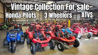 Massive Collection of Honda Pilots 3 Wheelers and ATVs [upl. by Ylimme709]